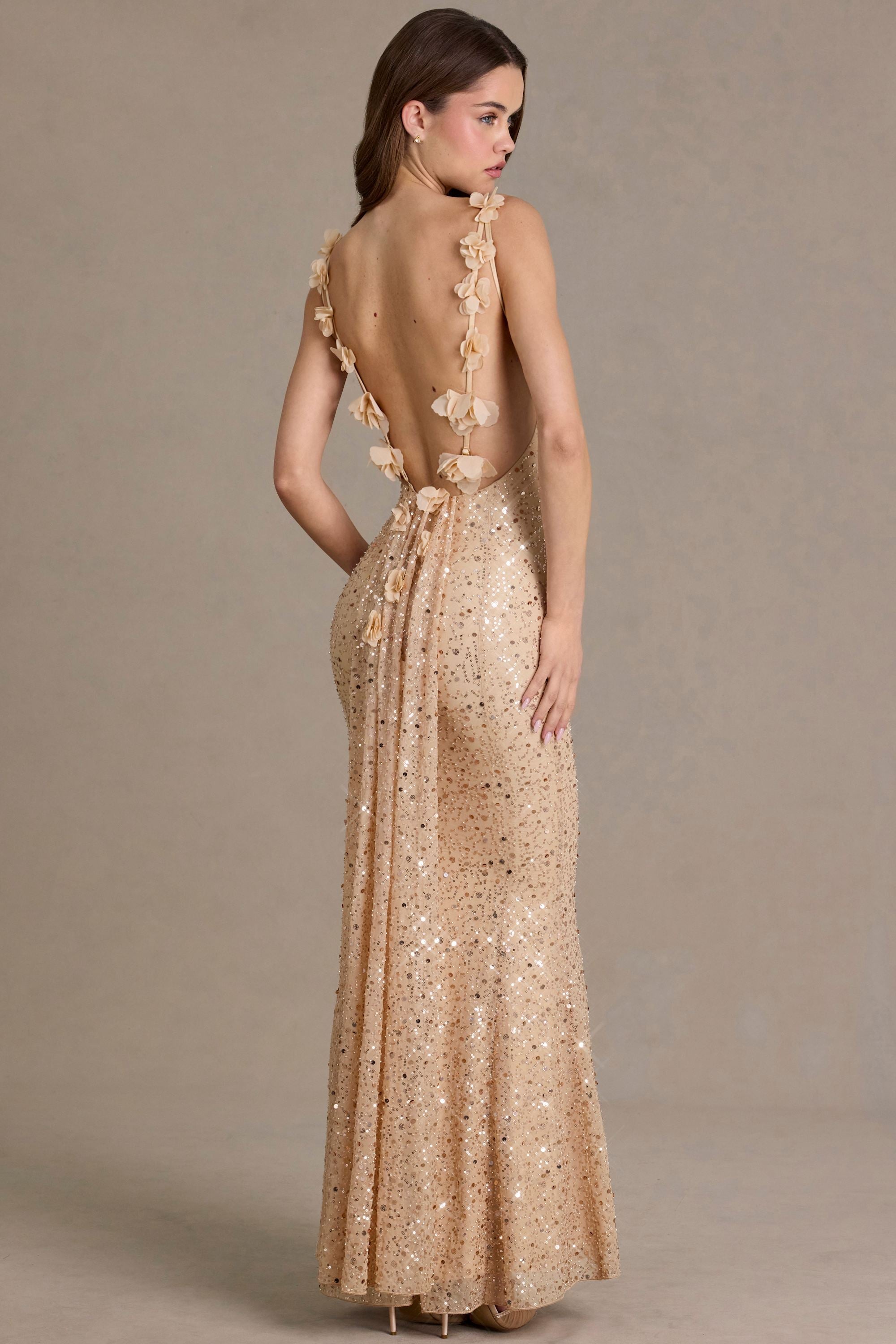 Élodie Sequin Maxi Dress